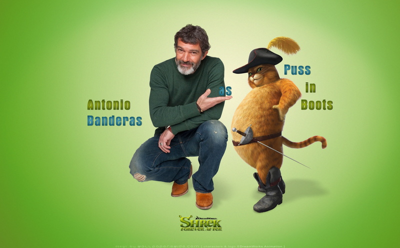 studio shot, domestic, shrek forever after, clip, casual clothing, puss, indoors, art, people, males, banderas, adult, western script, puss in boots, antonio