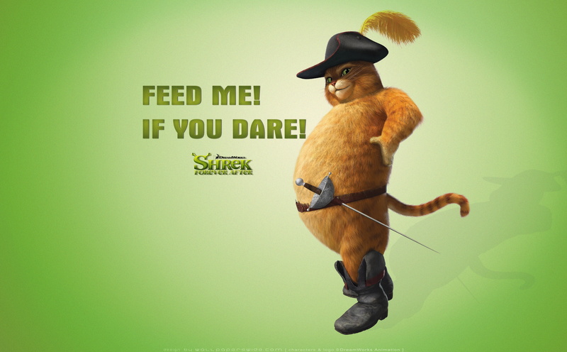 studio shot, puss in boots, shrek forever after, full length, colored background, representation, feed me! if you dare!, western script, dare, green color