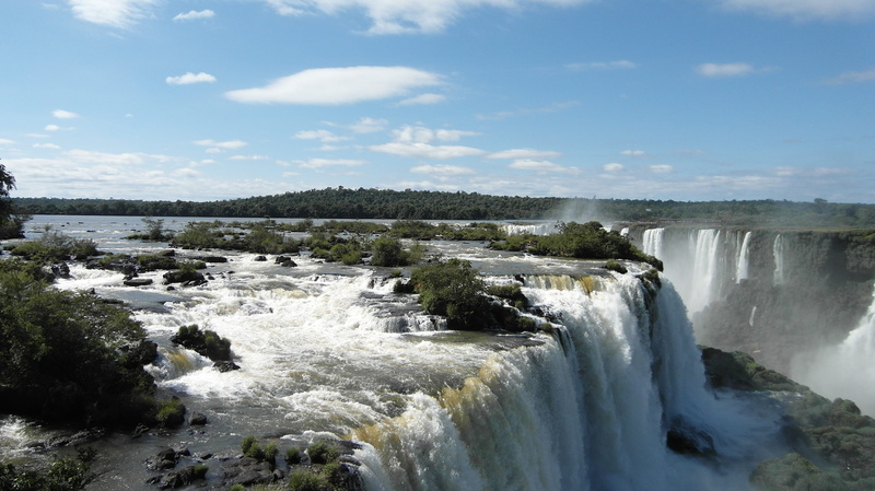 plant, argentina, unesco world heritage, foz do iguaçu, falls, no people, cataratas, wild, motion, power, border, beauty in nature, long exposure, tree