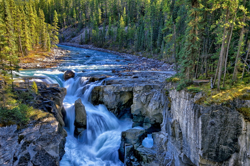 trees, Jasper National Park, river, woodland, Canada, rocks, waterfall, 1080P, scenics - nature, leaf, Sunwapta Falls, plant, beauty in nature, non-urban scene