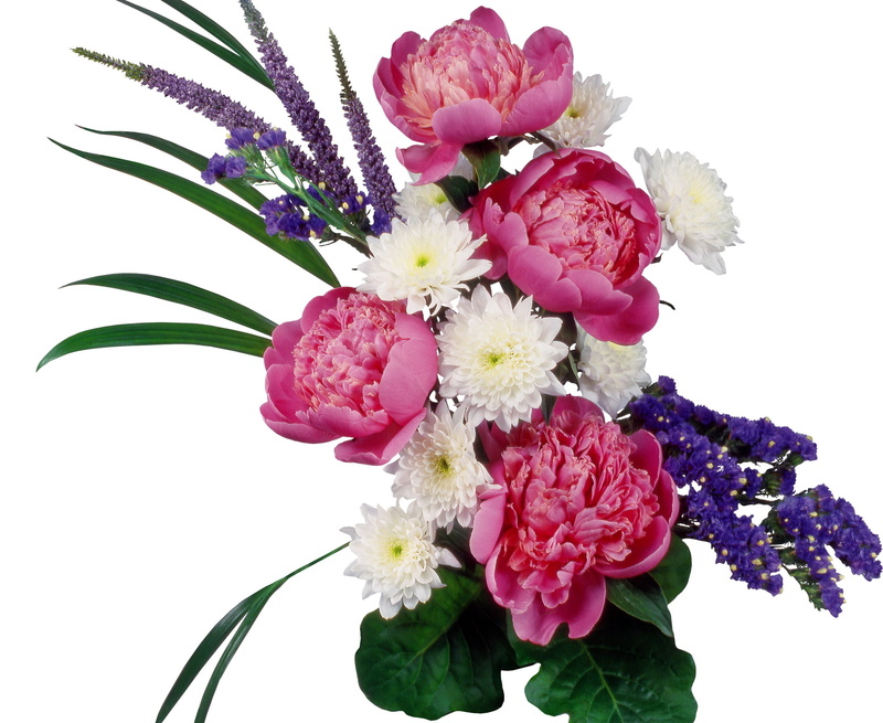 flower Head, springtime, white Background, beauty, multi Colored, blossom, pink, gift, decoration, green Color, celebration, bunch, beauty In Nature, cut Flowers