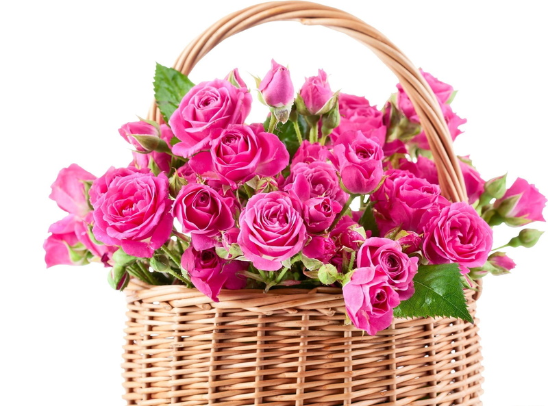 roses, basket, nature and landscapes, flowers, pink, 1080P