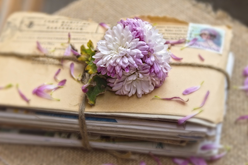 flower head, inflorescence, vintage, beauty in nature, petal, plant, no people, memories, publication, wood - material, chrysanthemums, fragility, envelopes