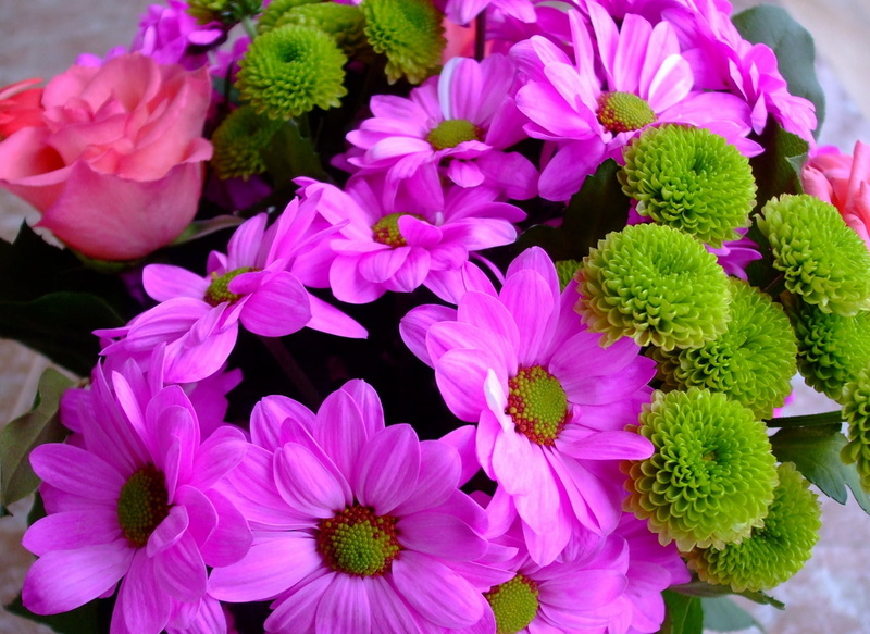 bunch of flowers, chrysanthemums, yellow, decoration, roses, growth, gift, pink, beauty In Nature, nature, bright, 720P, focus on foreground, freshness