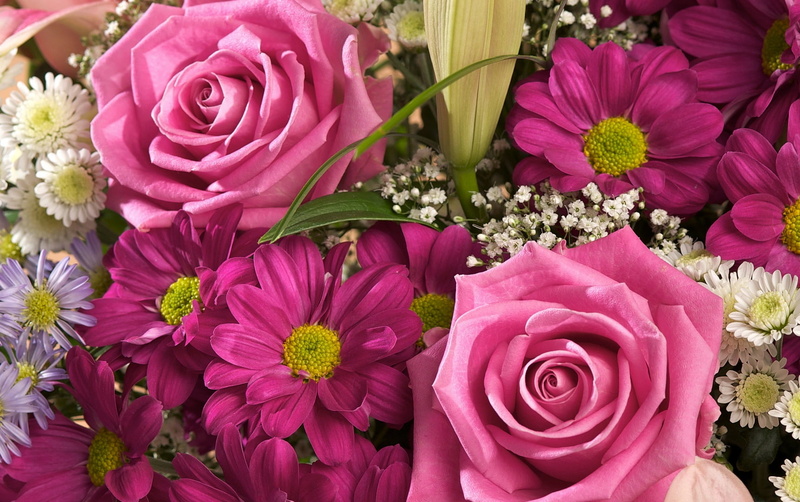 backgrounds, gypsophila, rose - Flower, beautiful, flowering plant, yellow, plant, flowers, wedding, celebration, no people, flower Head, flower, freshness