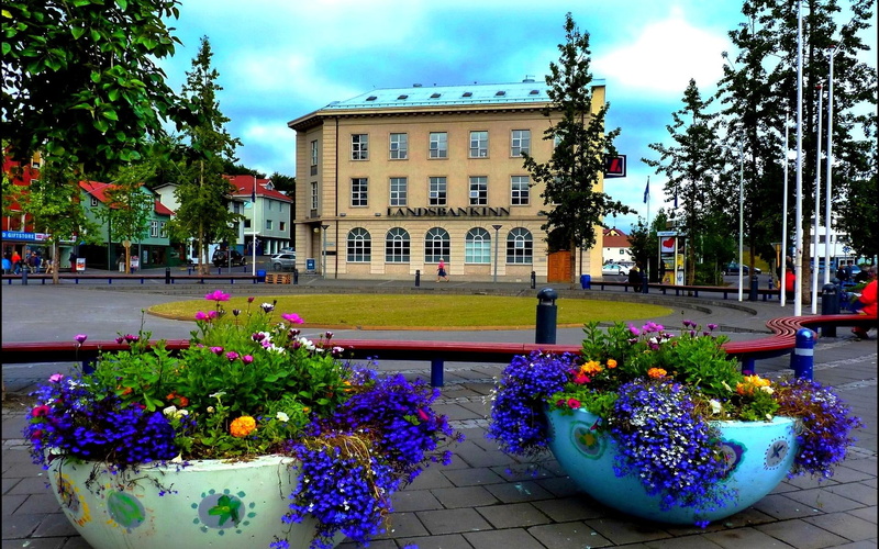 beautiful, 1080P, city, iceland, flowerbed, nature and landscapes, akureyri