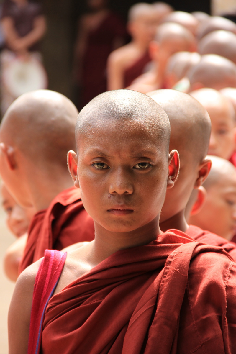 contemplation, Bagan, Myanmar, people, Religion, child, day, headshot, 5K, men, incidental people, real people, Buddhism, focus on foreground, red, looking