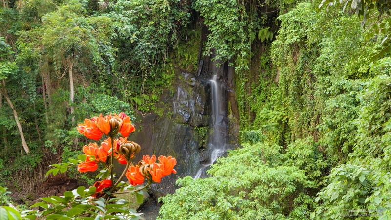 bali, tropical, 2K, indonesia, Asia