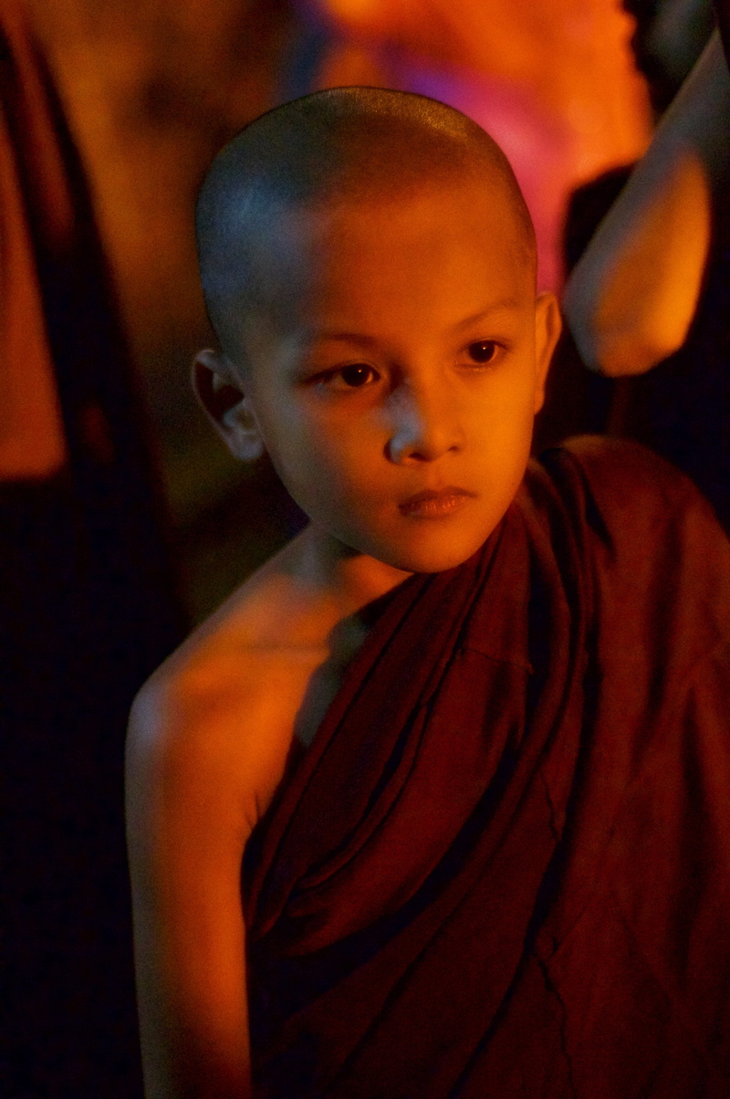 religion, looking, boy, budhas, casual clothing, childhood, close-up, myanmar, lifestyles, faithful, pray, temple, waist up, monk, 4K, indoors, wat, spiritual