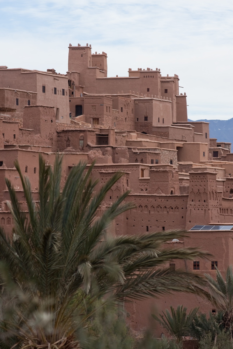 palm tree, sky, pise, archaeology, nature, travel destinations, mountains, building exterior, fortress, tree, ancient, kasbah, morocco, ancient civilization