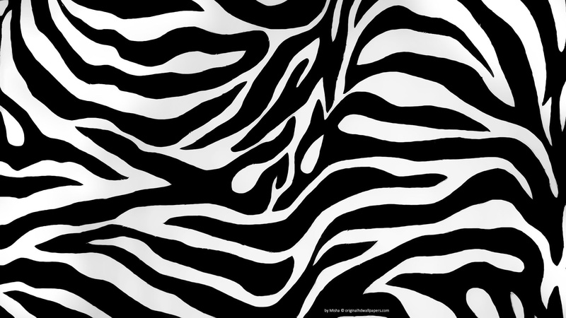 1080P, black, horse, zebra, black and white, white, animal