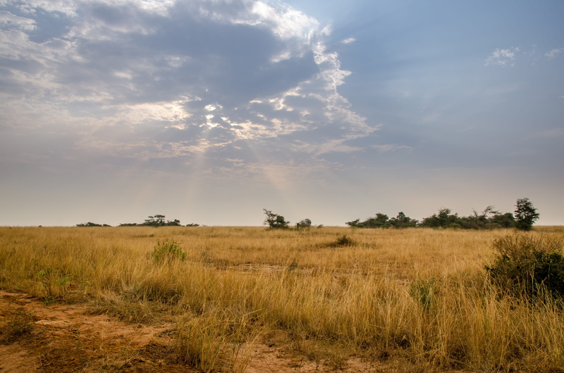 beauty in nature, scenics - nature, grass, cloud - sky, land, nature, 4K, landscape, outdoors, field, non-urban scene, sky, tranquil scene, safari, no people