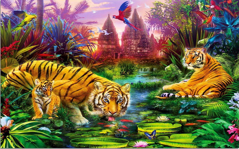 animal wildlife, mammal, no people, group of animals, cub, animal markings, high, hd, big cat, resolution, outdoors, vertebrate, day, carnivora