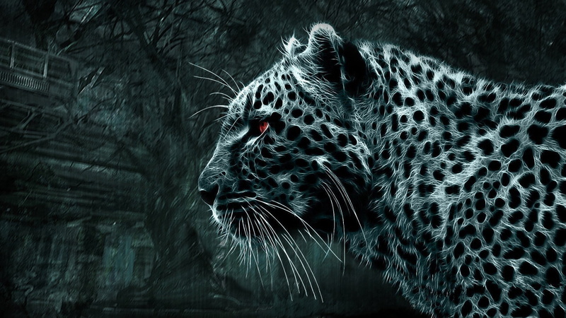 day, scarf, animals in the wild, leopard, animal themes, big cat, print, tree, animal body part, black, outdoors, animal, vertebrate, white, nature, animal wildlife