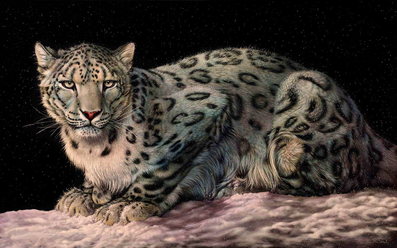 white, animals in the wild, relaxation, mobile, leopard, one animal, looking at camera, black background, pc, domestic animals, animal markings, big cat