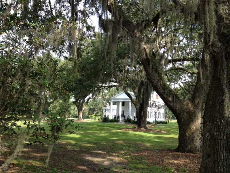 tranquility, plant, grass, South, house, America, building, nature, growth, outdoors, tree trunk, built structure, 2K, green color, Plantation, no people