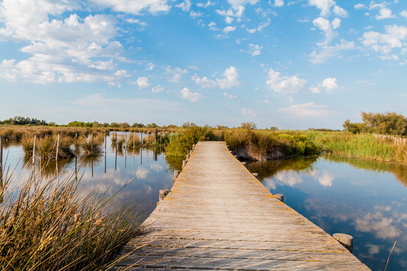 cloud - sky, diminishing perspective, scenics - nature, wooden track, tranquility, 5K, reflection, arles, non-urban scene, wood paneling, mood, saintes-maries-de-la-mer