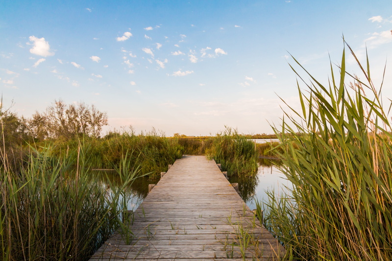beauty in nature, landscape, the way forward, body, bridge, direction, france, lake, cloud - sky, saintes-maries-de-la-mer, wood planks, outdoors, boardwalk
