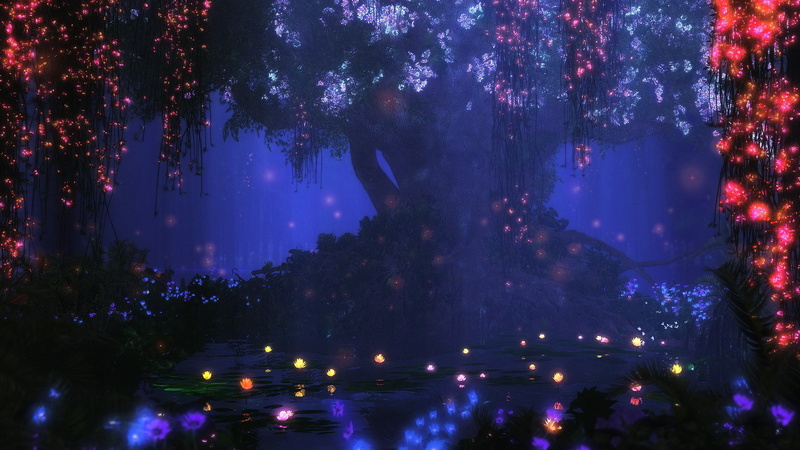 park - man made space, no people, outdoors, park, nature, hi def nature pictures 2560x1440, night, reflection, decoration, plant, beauty in nature, 2K
