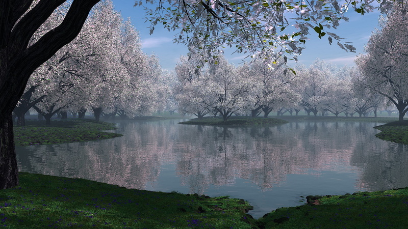 hi def nature pictures 2560x1440, 2K