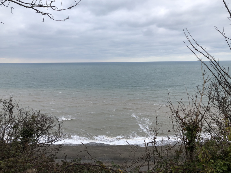 plant, cloud - sky, beauty in nature, ireland, sea, day, bray, idyllic, tree, tranquility, land, nature, 4K, non-urban scene, horizon, outdoors, no people