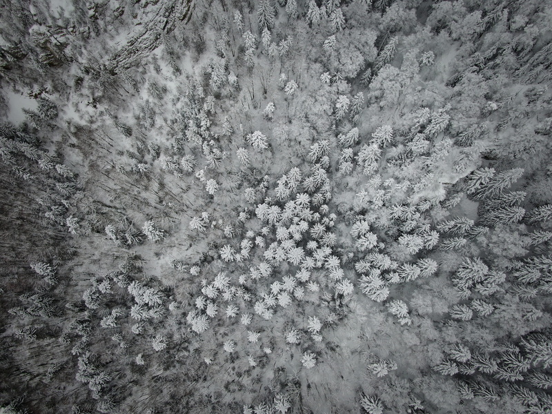 frozen, dji, aerial, 4K, trees, white color, plant, textur, no people, photography, drone, growth, land, patern, snowing, ice, tranquil scene, snow, no color