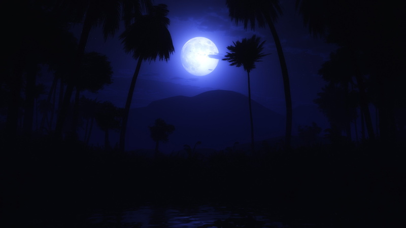 tranquil scene, night, outdoors, hi def nature pictures 2560x1440, moon, beauty in nature, silhouette, full moon, tranquility, coconut palm tree, sky, moonlight