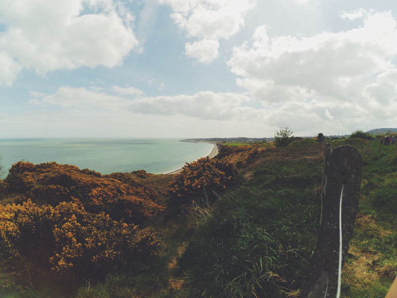 growth, cloud - sky, greystone, plant, sea, scenics - nature, water, tree, non-urban scene, beauty in nature, bray, 4K, horizon over water, sky, ireland