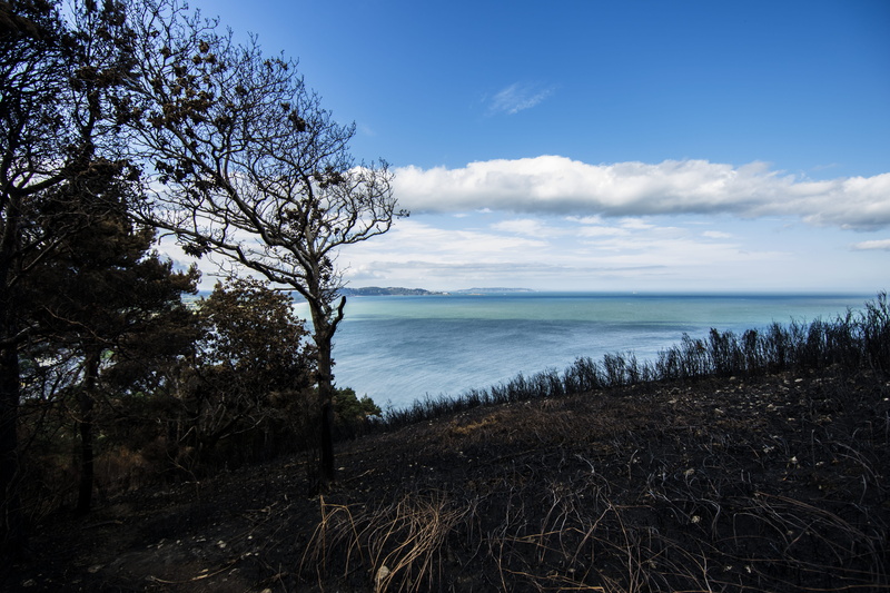no people, beauty in nature, 5K, black, bray, day, tree, sea, ireland, sky, land, fire, plant, lake, scenics - nature, water, growth, outdoors, tranquil scene