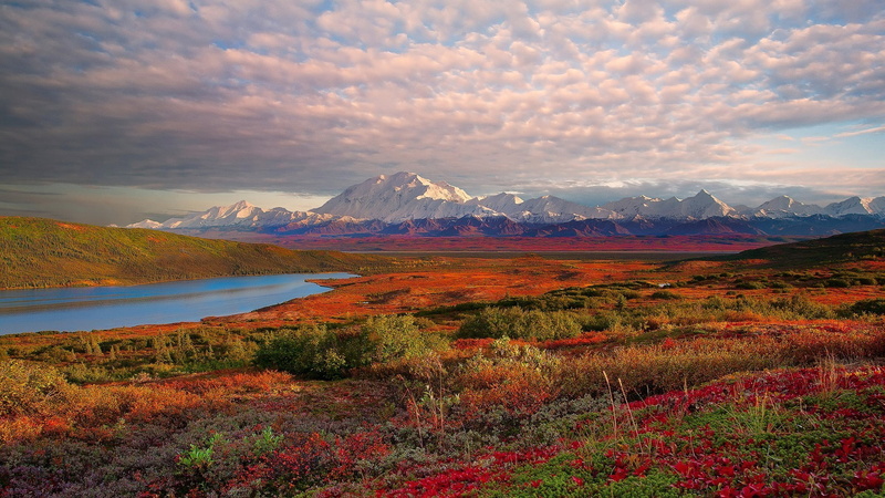 landscape, resolution, 2K, park, alaska, hd, national, desktop, denali