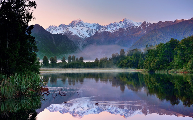 Water, Mountains, New, Reflection, 1080P, Forest, Lake, Morning, Zealand, Scenery