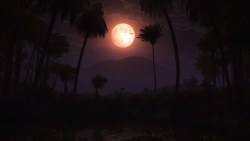 swimming pool, coconut palm tree, palm tree, non-urban scene, night, tropical climate, idyllic, beauty in nature, no people, silhouette, tranquil scene