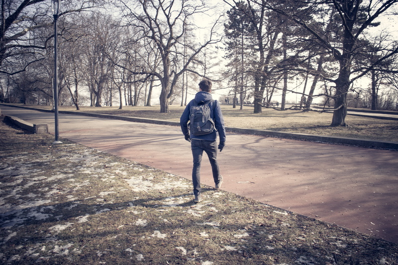 tree, young adult, real people, footpath, park, day, walking, outdoors, nature, casual clothing, plant, prague, rear view, czechia, shadow, lifestyles