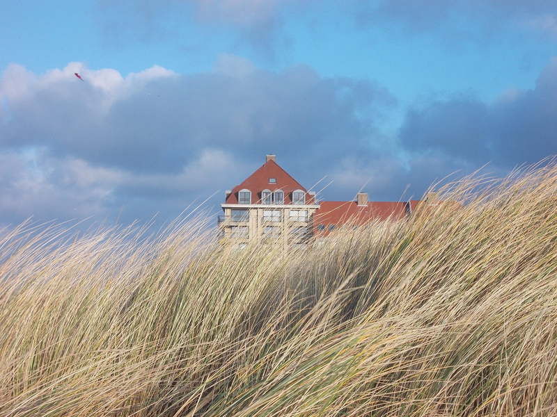 Kite, grass, building exterior, environment, field, house, cloud - sky, bray-dunes, day, farm, plant, 2K, nature, landscape, oyats, dunes, rural scene