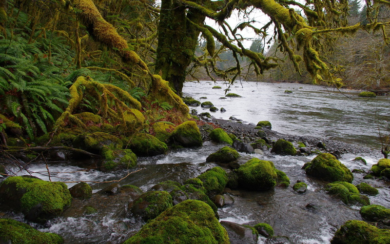 flowing, washington, river, park, mountains, usa, national, west, hd, sol, northwest, 2K, peninsula, duc, olympic