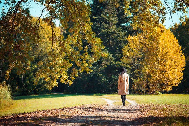 coat, real people, lifestyles, nature, one person, women, casual clothing, tree, rear view, park, alone, forest, autumn, relax, leisure activity, people