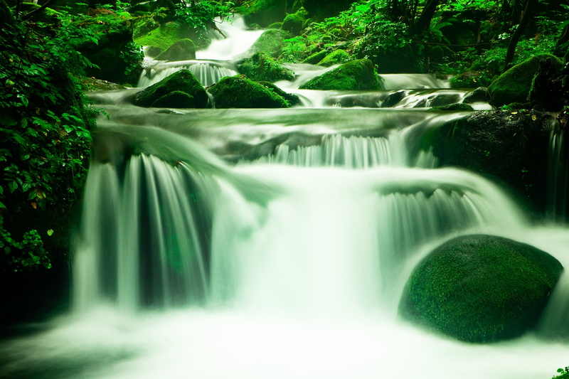creek, wood, stream, flowing, long exposure, nature, green Color, river, flowing Water, summer, mountain, blurred motion, purity, leaf, land, water, trees