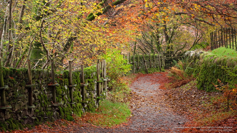 cumbria, district, grasmere, lake, near, Fall, 2K, england, woodland