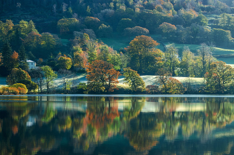 growth, Cumbria, autumn, beauty in nature, England, tranquility, non-urban scene, forest, Coniston, day, trees, near, lake, outdoors, no people, change