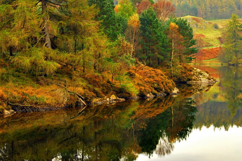cumbria, reflection, autumn, district, forest, england, lake, 1080P