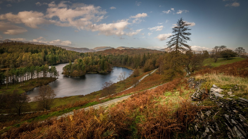 1080P, trees, the lake district, autumn, lake, Cumbria, England, island