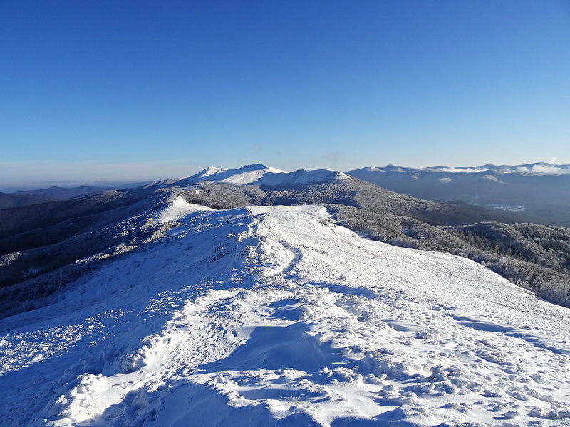 copy space, colorful, sunny, skis, space, tranquil scene, tree, ice, travel, clear sky, time of year, 5K, scenics - nature, poland, environment, mountain range
