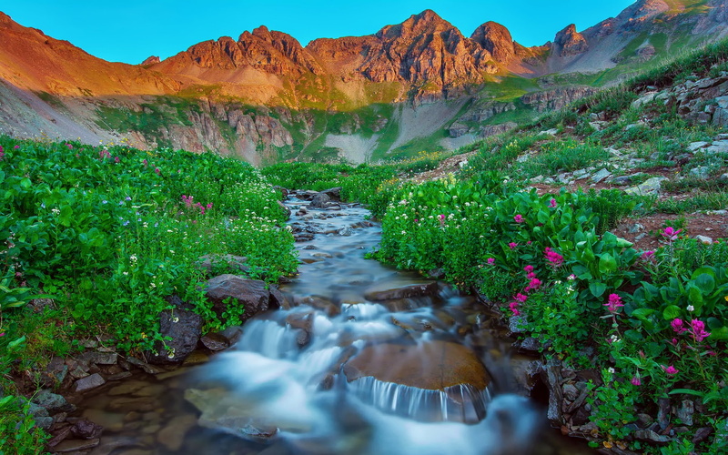 Summer, Mountains, USA, Rocks, 1080P, Flowers, Morning, Stream, Silverton, Colorado