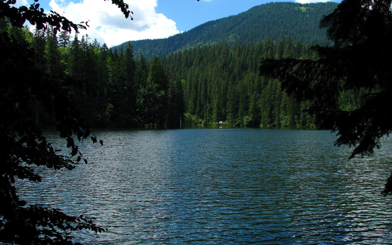 nature, image, 2K, near, cloud, breathtaking, pine, 2560x1600, tree, mountains, mountain, river, trees, lake