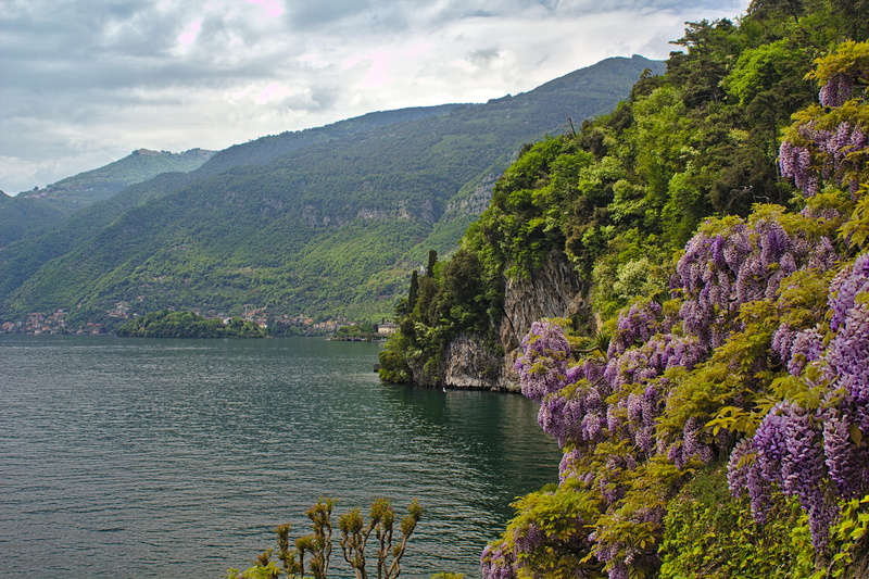 lake, tremezzo, scenics - nature, non-urban scene, sky, mountain, outdoors, 5K, idyllic, no people, tranquility, tranquil scene, lake como, tree, flower