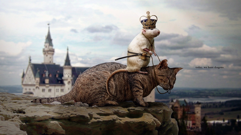 1080P, Photoshop, mice, digital art, cat
