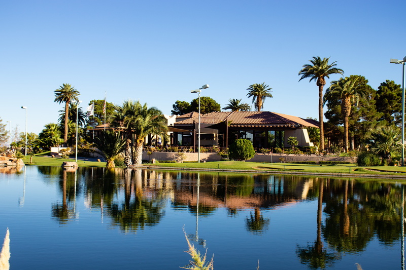 tree, las vegas, palm tree, beauty in nature, house, water, golf, coconut palm tree, tropical climate, building exterior, club, clubhouse, clear sky, lake