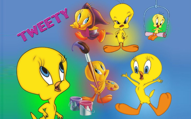 1080P, bird, mobile, phones, pc, cartoon, hd, tweety, tablet