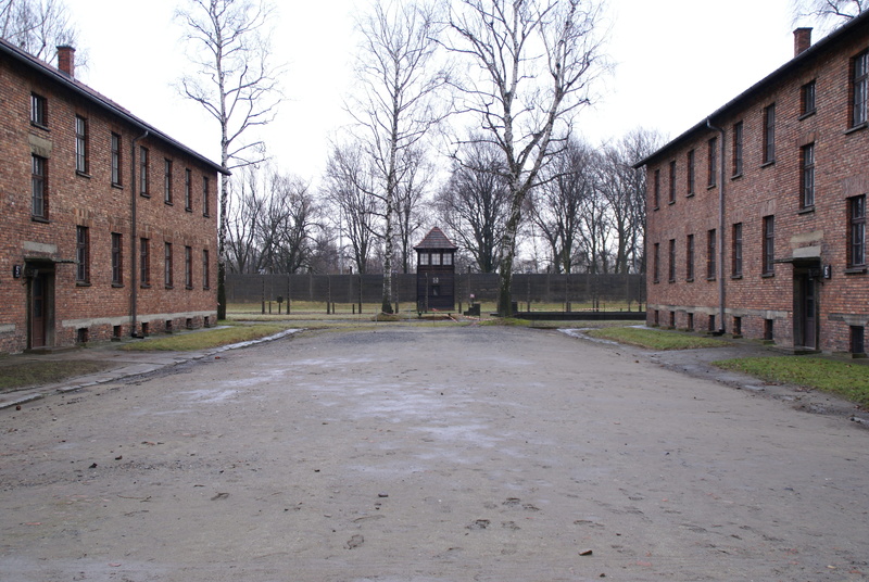 auschwitz-birkenau, concentration camp, house, architecture, street, building, destruction, direction, built structure, building exterior, plant, tree