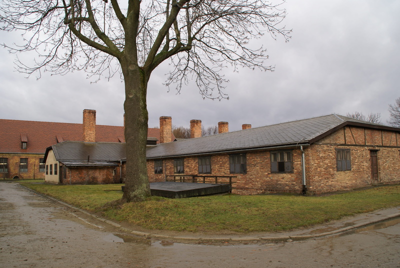 nature, road, rain, bare tree, residential district, tree, sky, building, prosecution, house, auschwitz, extreme weather, history, war, built structure